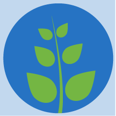 sustainable farming means healthy farms